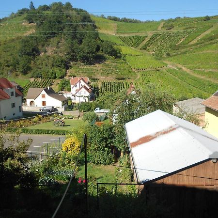 Apartamento Les Vendangeurs Niedermorschwihr Exterior foto